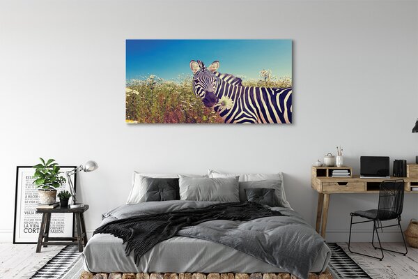 Zdjęcie na płótnie Zebra wśród Kwiatów