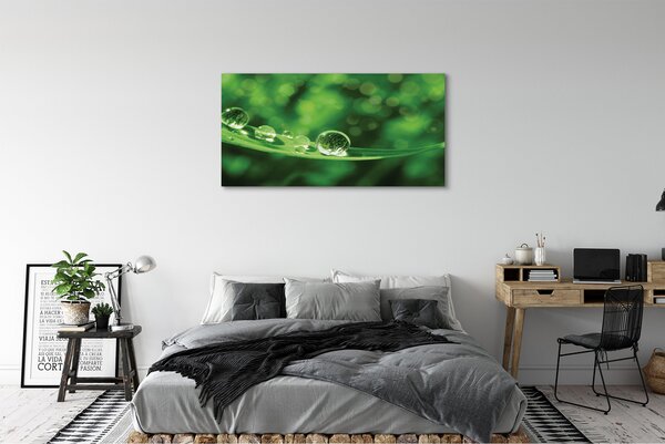 Obraz canvas na ścianę Zbliżenie na Krople Rosy