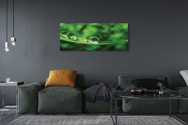 Obraz canvas na ścianę Zbliżenie na Krople Rosy