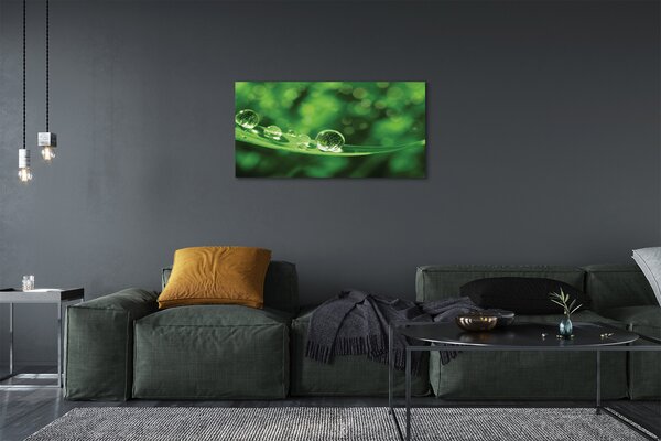 Obraz canvas na ścianę Zbliżenie na Krople Rosy