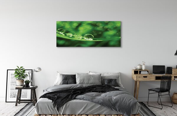 Obraz canvas na ścianę Zbliżenie na Krople Rosy