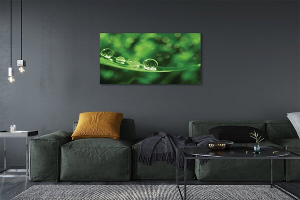 Obraz canvas na ścianę Zbliżenie na Krople Rosy