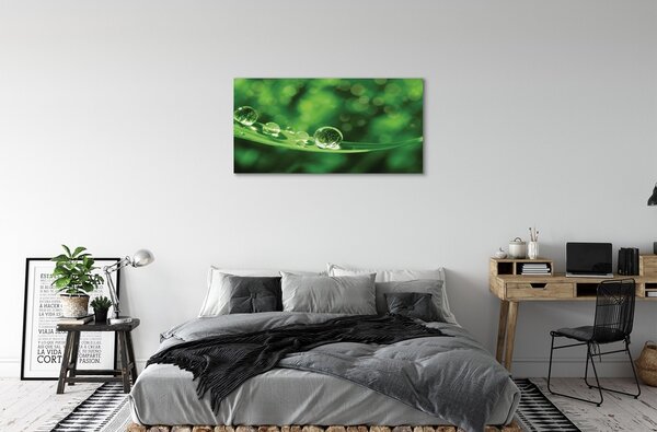 Obraz canvas na ścianę Zbliżenie na Krople Rosy