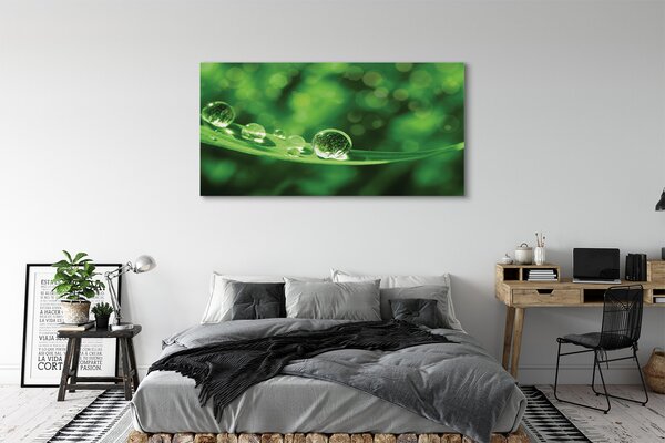 Obraz canvas na ścianę Zbliżenie na Krople Rosy