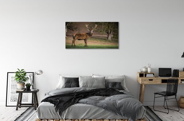 Obraz canvas na ścianę Samotny Jeleń na Polu