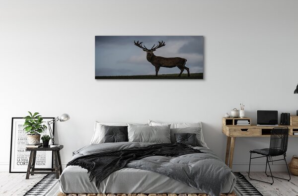 Obraz canvas na ścianę Nocne Spotkanie z Jeleniem