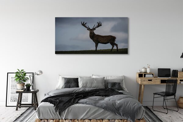Obraz canvas na ścianę Nocne Spotkanie z Jeleniem