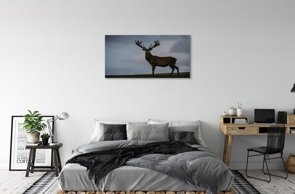 Obraz canvas na ścianę Nocne Spotkanie z Jeleniem