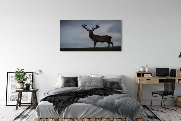 Obraz canvas na ścianę Nocne Spotkanie z Jeleniem