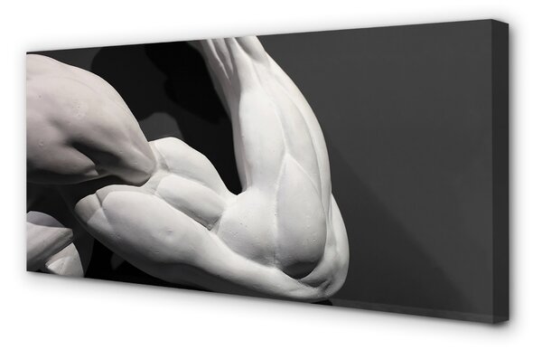 Obraz na płótnie Mięśnie czarno-białe