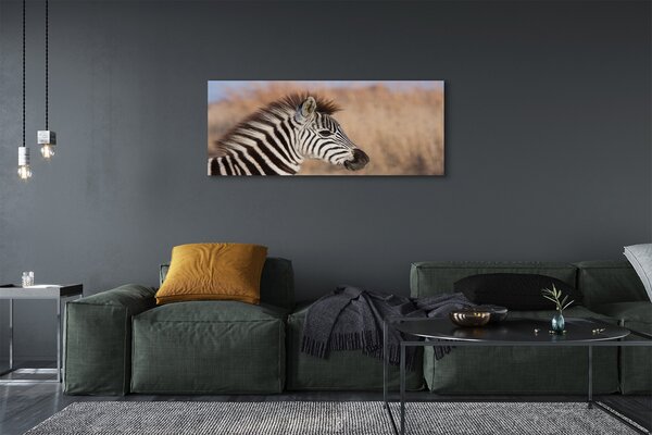 Fotoobraz na płótnie Zebra na Tle Natury