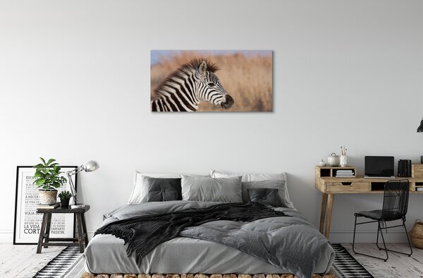 Fotoobraz na płótnie Zebra na Tle Natury
