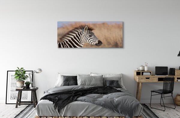 Fotoobraz na płótnie Zebra na Tle Natury