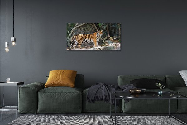 Obraz canvas na ścianę Tygrys w Dżungli