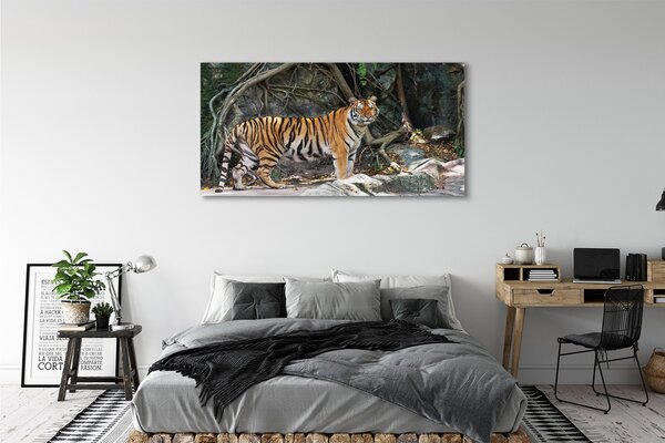 Obraz canvas na ścianę Tygrys w Dżungli