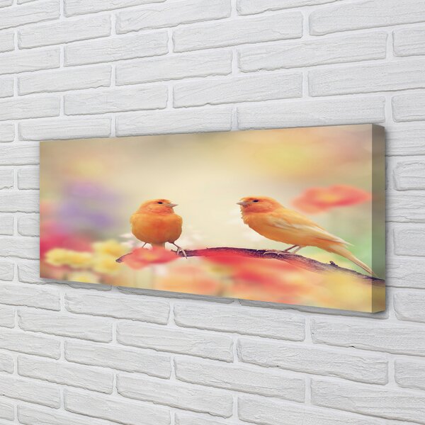 Obraz canvas na ścianę Stado Kolorowych Papug