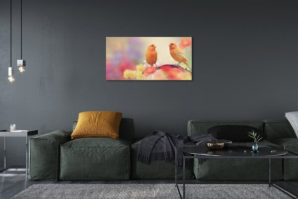 Obraz canvas na ścianę Stado Kolorowych Papug