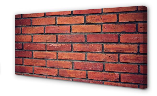 Obraz drukowany na płótnie Mieszany Mur Ceglano-Kamienny
