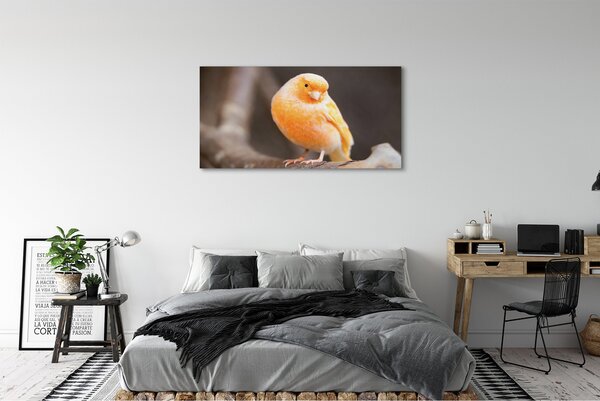 Obraz canvas na ścianę Papuga na Gałęzi