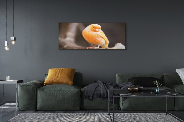 Obraz canvas na ścianę Papuga na Gałęzi