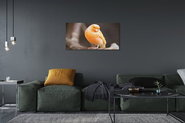 Obraz canvas na ścianę Papuga na Gałęzi