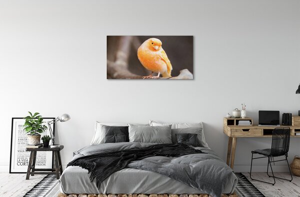 Obraz canvas na ścianę Papuga na Gałęzi