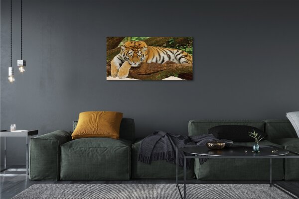 Obraz canvas na ścianę Tygrys na Drzewie
