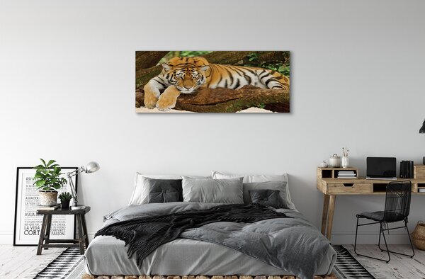 Obraz canvas na ścianę Tygrys na Drzewie