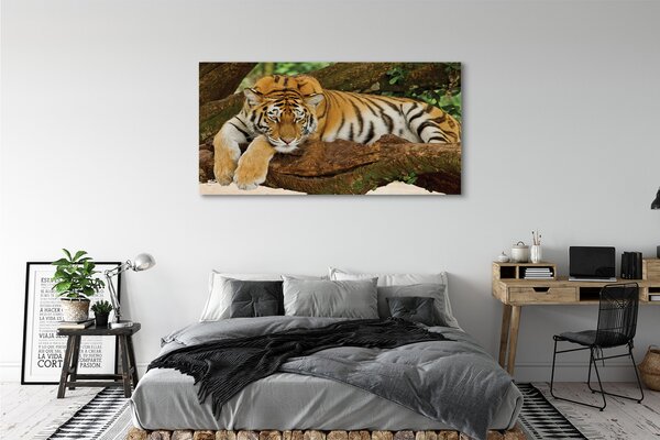 Obraz canvas na ścianę Tygrys na Drzewie