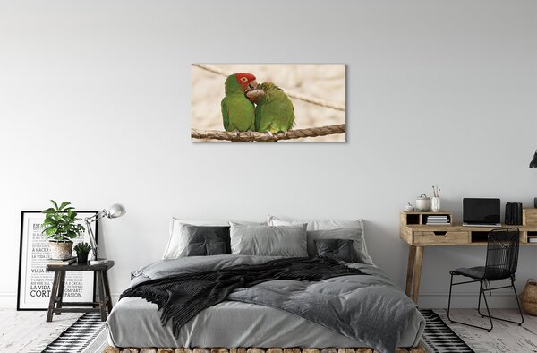 Obraz canvas na ścianę Zielone Papugi w Gęstwinie