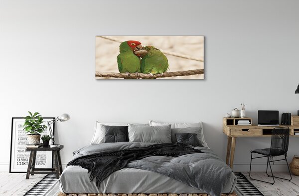 Obraz canvas na ścianę Zielone Papugi w Gęstwinie