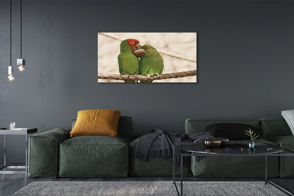 Obraz canvas na ścianę Zielone Papugi w Gęstwinie