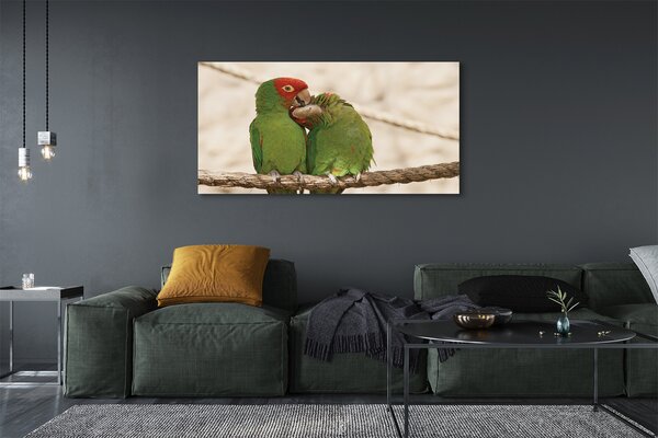 Obraz canvas na ścianę Zielone Papugi w Gęstwinie