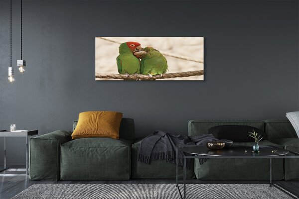 Obraz canvas na ścianę Zielone Papugi w Gęstwinie
