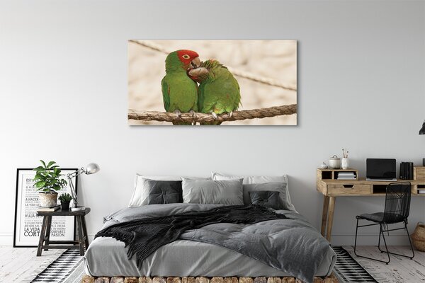 Obraz canvas na ścianę Zielone Papugi w Gęstwinie