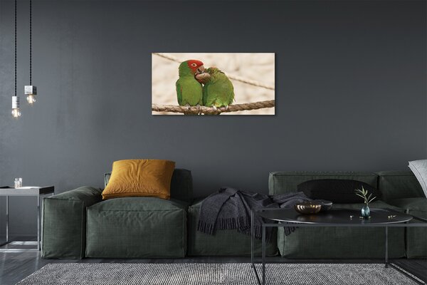 Obraz canvas na ścianę Zielone Papugi w Gęstwinie