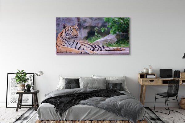 Obraz canvas na ścianę Tygrys w Zoo
