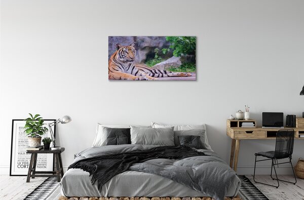 Obraz canvas na ścianę Tygrys w Zoo