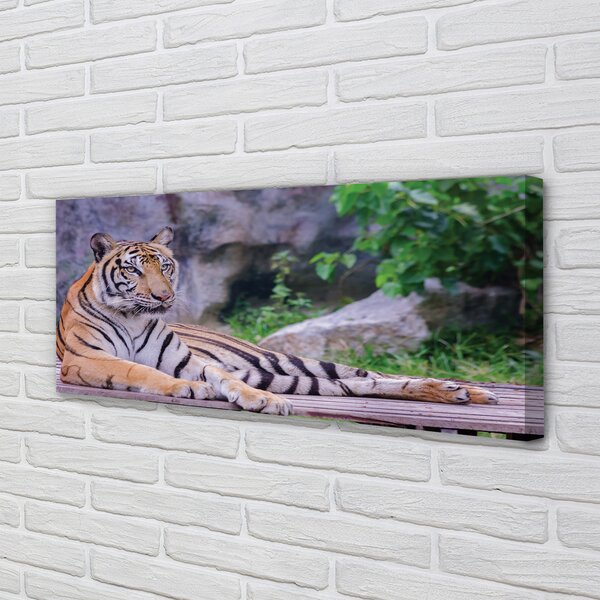 Obraz canvas na ścianę Tygrys w Zoo