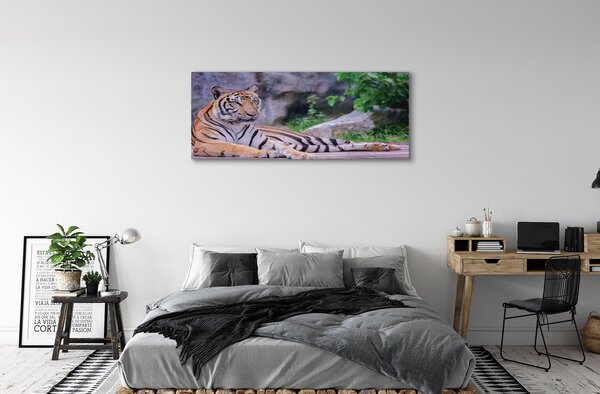 Obraz canvas na ścianę Tygrys w Zoo