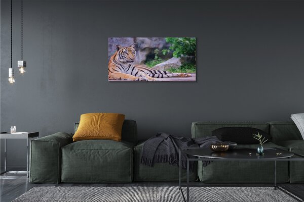 Obraz canvas na ścianę Tygrys w Zoo