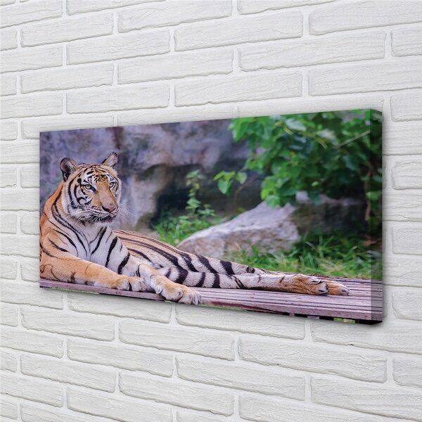 Obraz canvas na ścianę Tygrys w Zoo