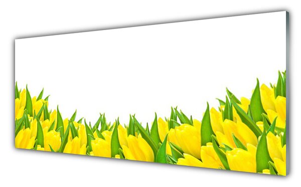 Obraz Szklany Kwiaty Natura Tulipany
