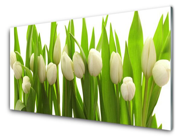 Obraz na Szkle Tulipany Kwiaty Roślina