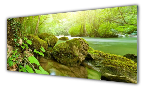 Obraz Szklany Jezioro Rzeka Natura