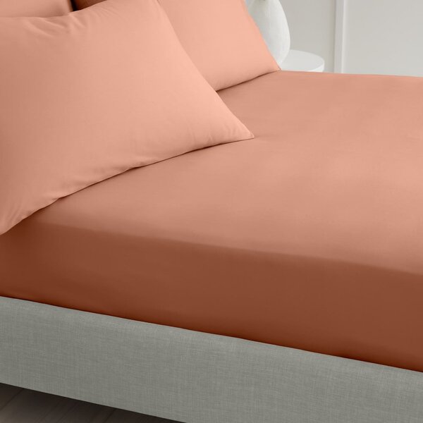 Prześcieradło z perkalu bawełnianego z gumką w kolorze terakoty 90x190 cm Cotton Percale – Bianca