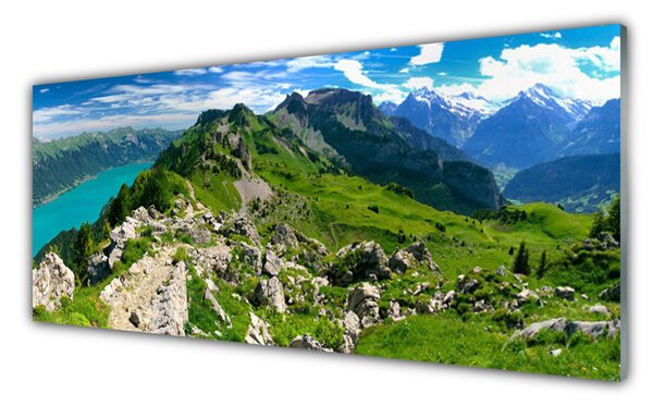 Obraz Szklany Łąka Góry Krajobraz Natura