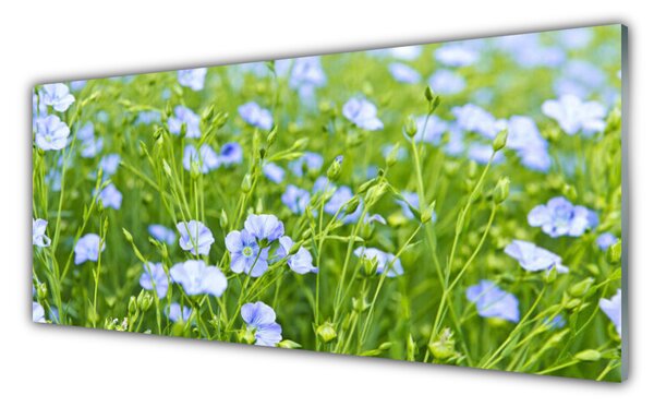 Obraz na Szkle Kwiaty Trawa Roślina Natura