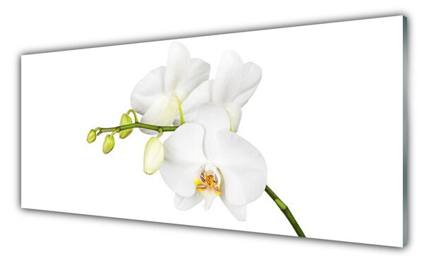 Obraz Szklany Orchidea Kwiaty Natura