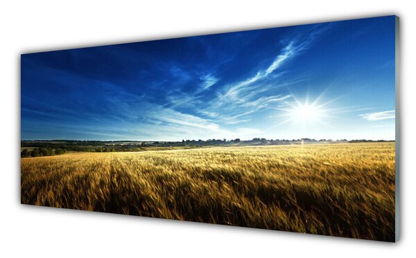 Obraz Szklany Pole Zboże Słońce Krajobraz